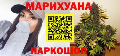 МДПВ Новозыбков