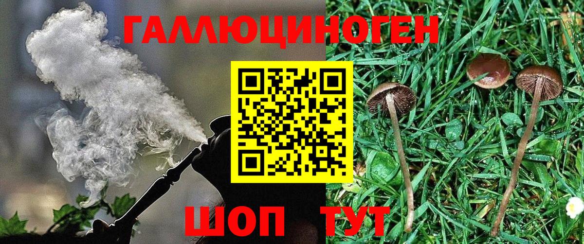купить  цена  Галлюциногенные грибы мицелий  Вход с VPN  Скопин 